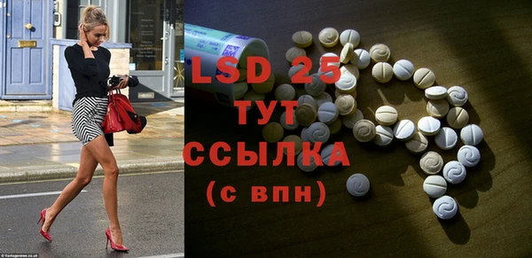 ПСИЛОЦИБИНОВЫЕ ГРИБЫ Елабуга