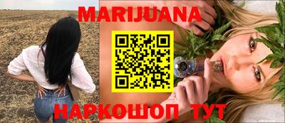 спиды Донской