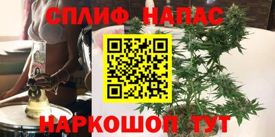 спиды Донской