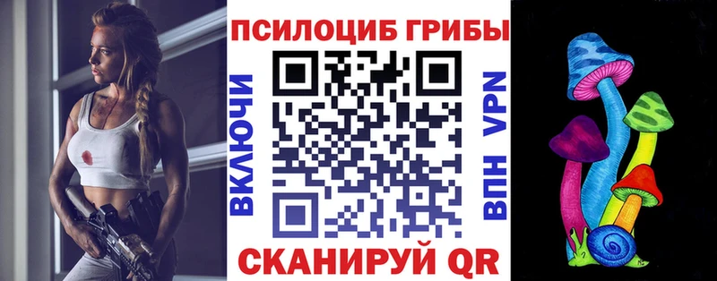 Галлюциногенные грибы Psilocybe  мега как зайти  Новосибирск 