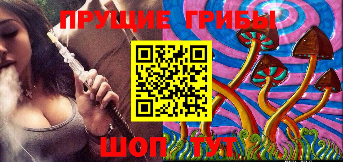 Псилоцибиновые грибы Magic Shrooms  Вход с VPN  Новосибирск 