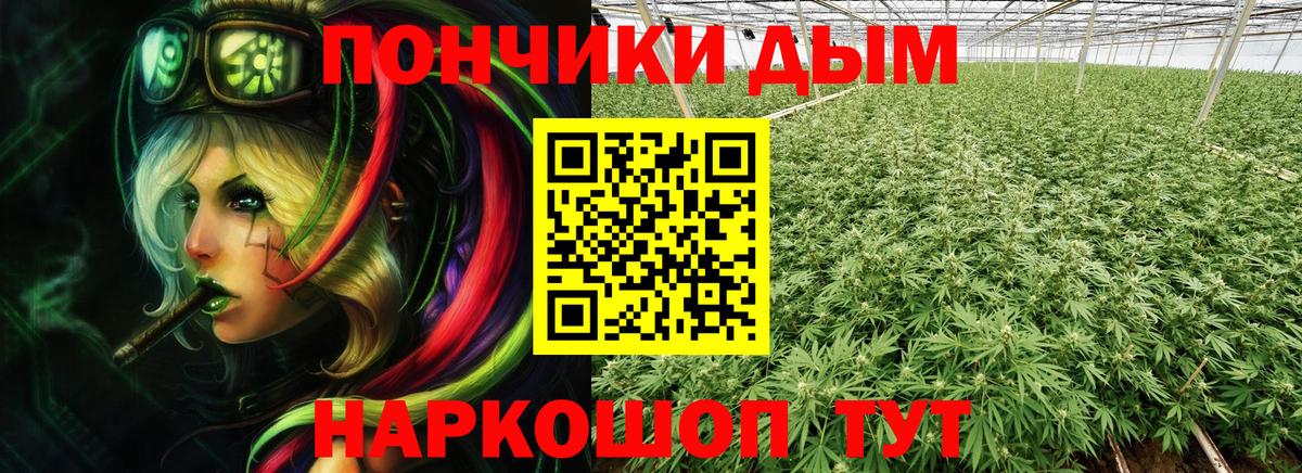 Бошки Шишки Ganja  МАРИХУАНА ГИДРОПОН  Новосибирск  Вход с VPN 